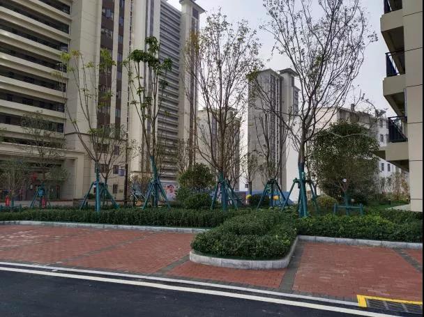 微信图片_20220125162823.jpg